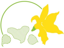 Squash Blossom WHOLESALE logo